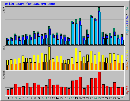 Daily usage for January 2009