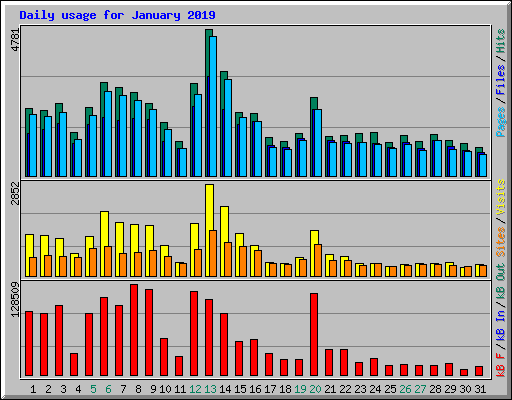 Daily usage for January 2019