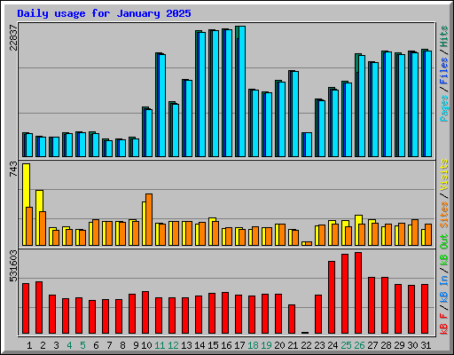 Daily usage for January 2025