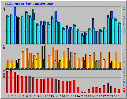 Daily usage for January 2026