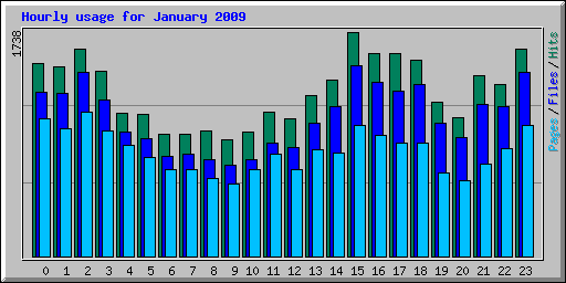Hourly usage for January 2009