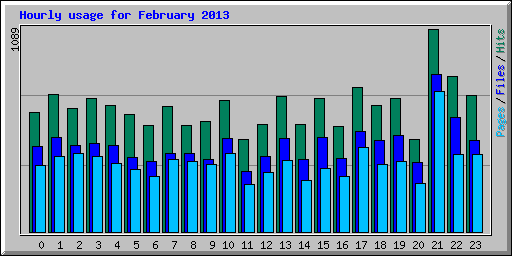 Hourly usage for February 2013