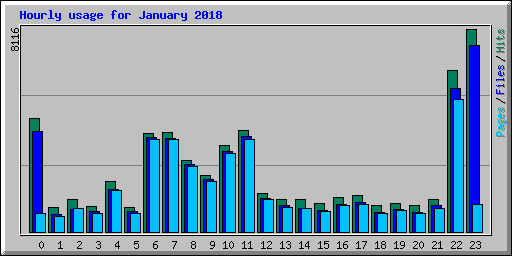 Hourly usage for January 2018
