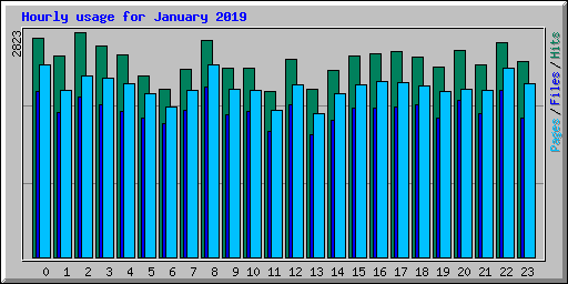 Hourly usage for January 2019