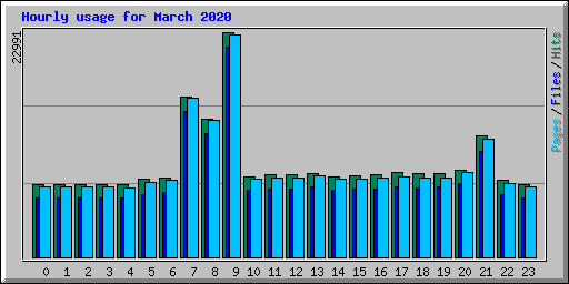 Hourly usage for March 2020