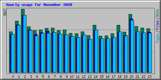 Hourly usage for November 2020