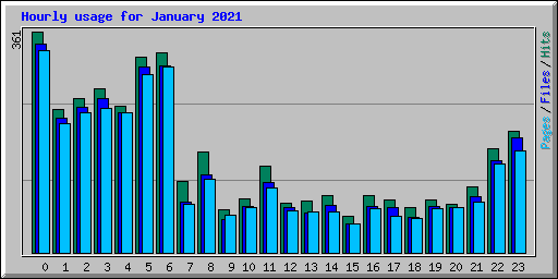 Hourly usage for January 2021