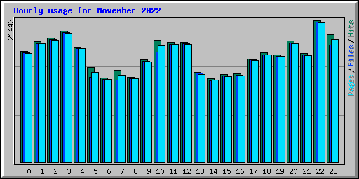 Hourly usage for November 2022