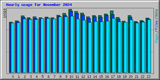 Hourly usage for November 2024