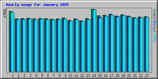 Hourly usage for January 2025