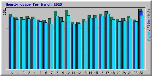 Hourly usage for March 2025