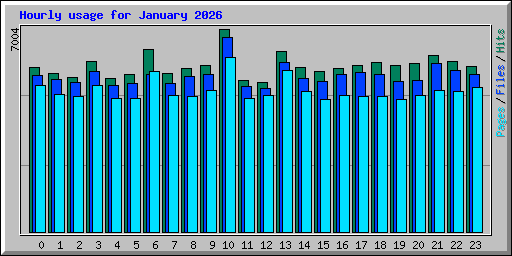 Hourly usage for January 2026