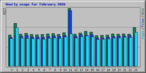 Hourly usage for February 2026